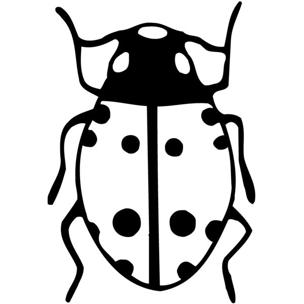 BEETLE03 Thumbnail